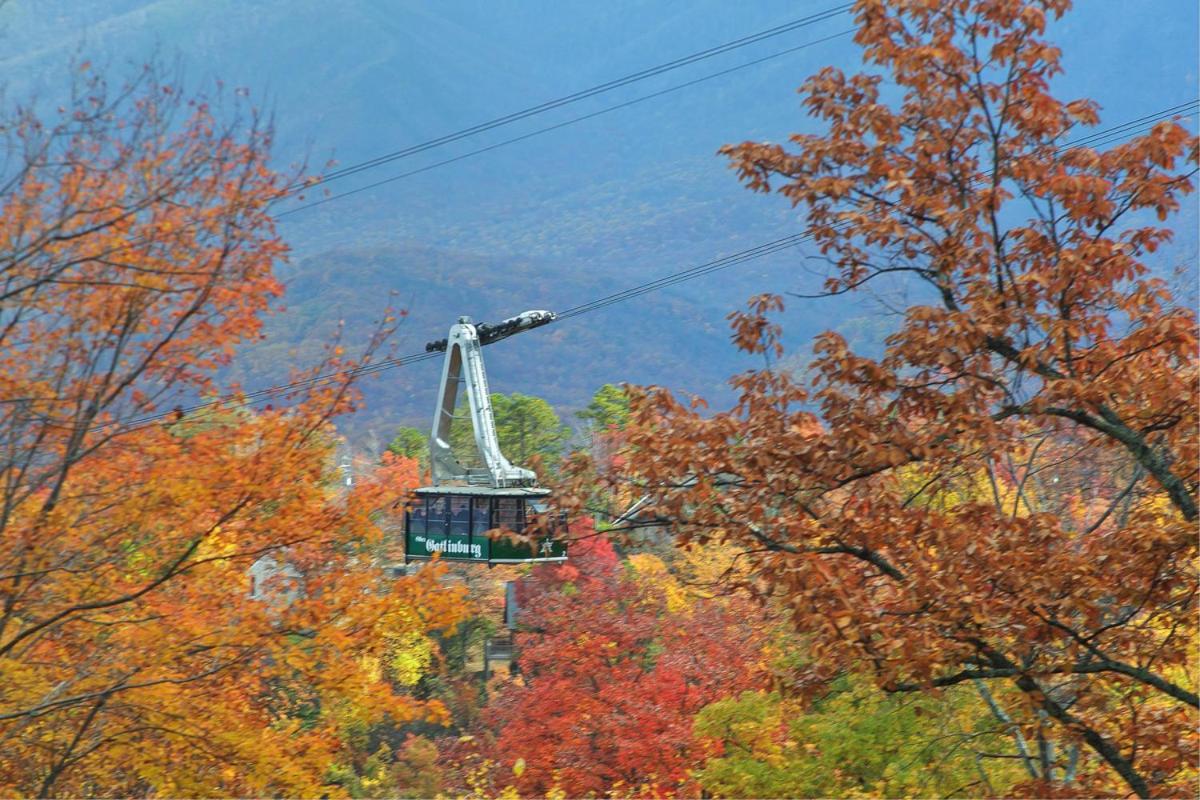 Above The Tree Tops Sevierville Exterior foto