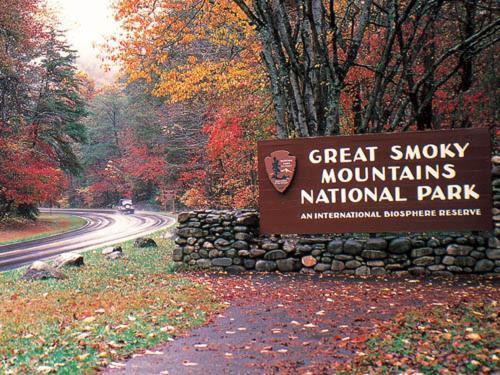 Above The Tree Tops Sevierville Exterior foto